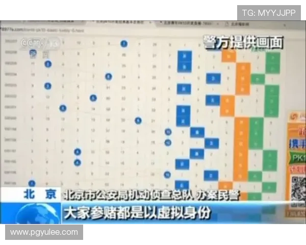 PK拾官方开奖结果查询与最新开奖公告 PK拾官方开奖结果查询与最新开奖公告